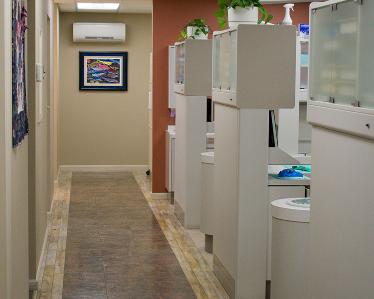 Chena Dental Care office interior